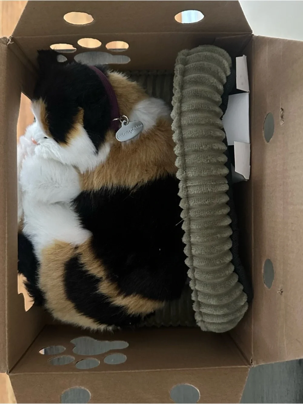 Perfect Petzzzz Calico Lifelike Sleeping Cat - Calico, New in Box